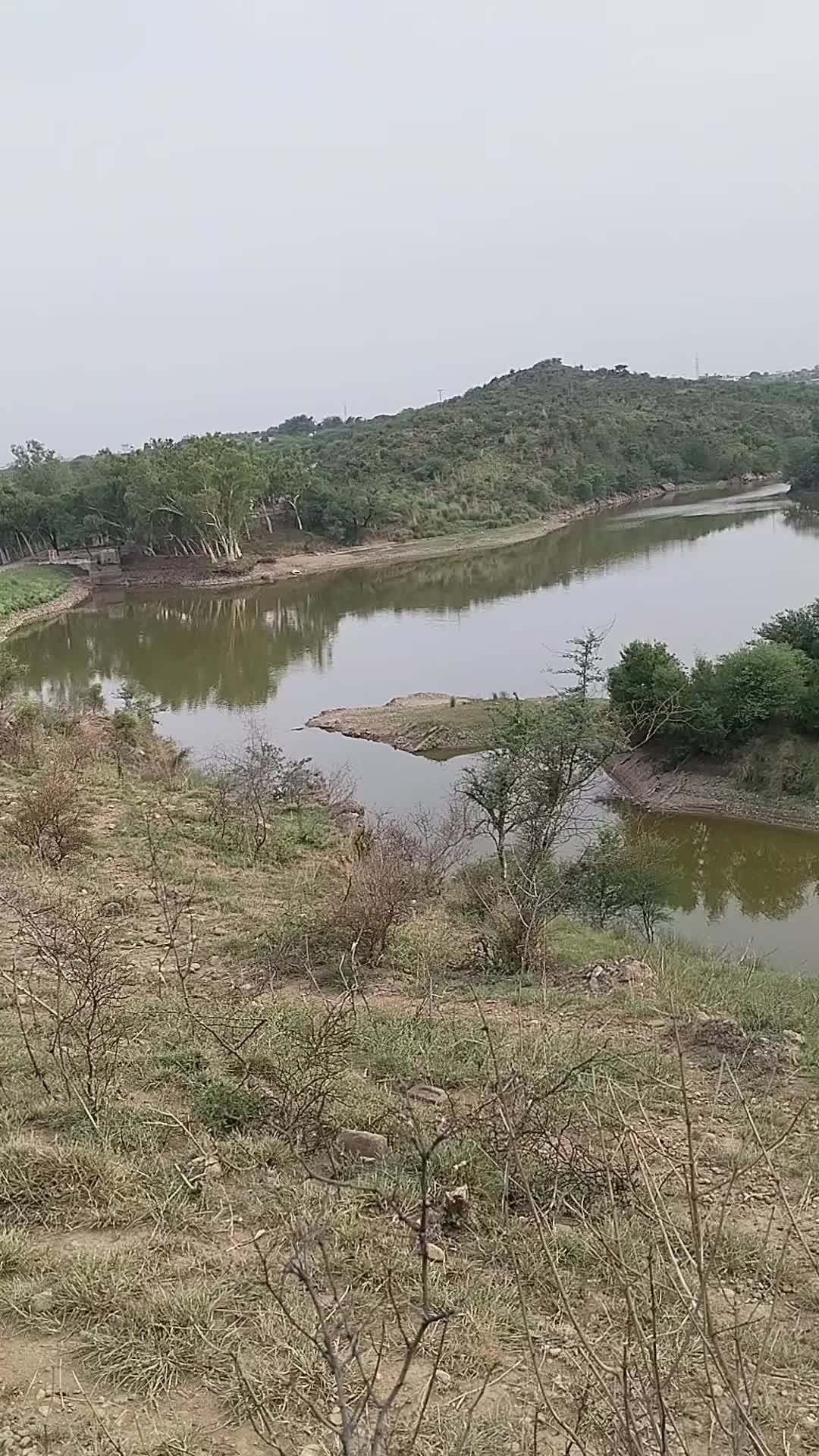 @Muhammad Zafar akhtar