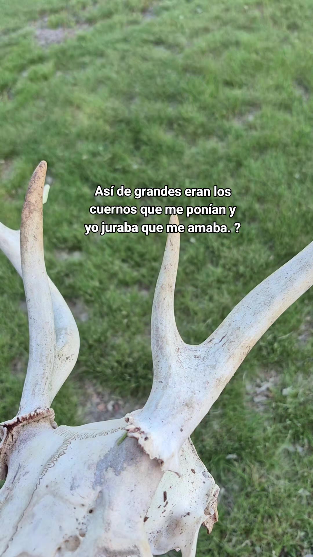@Esteban Hernández Díaz