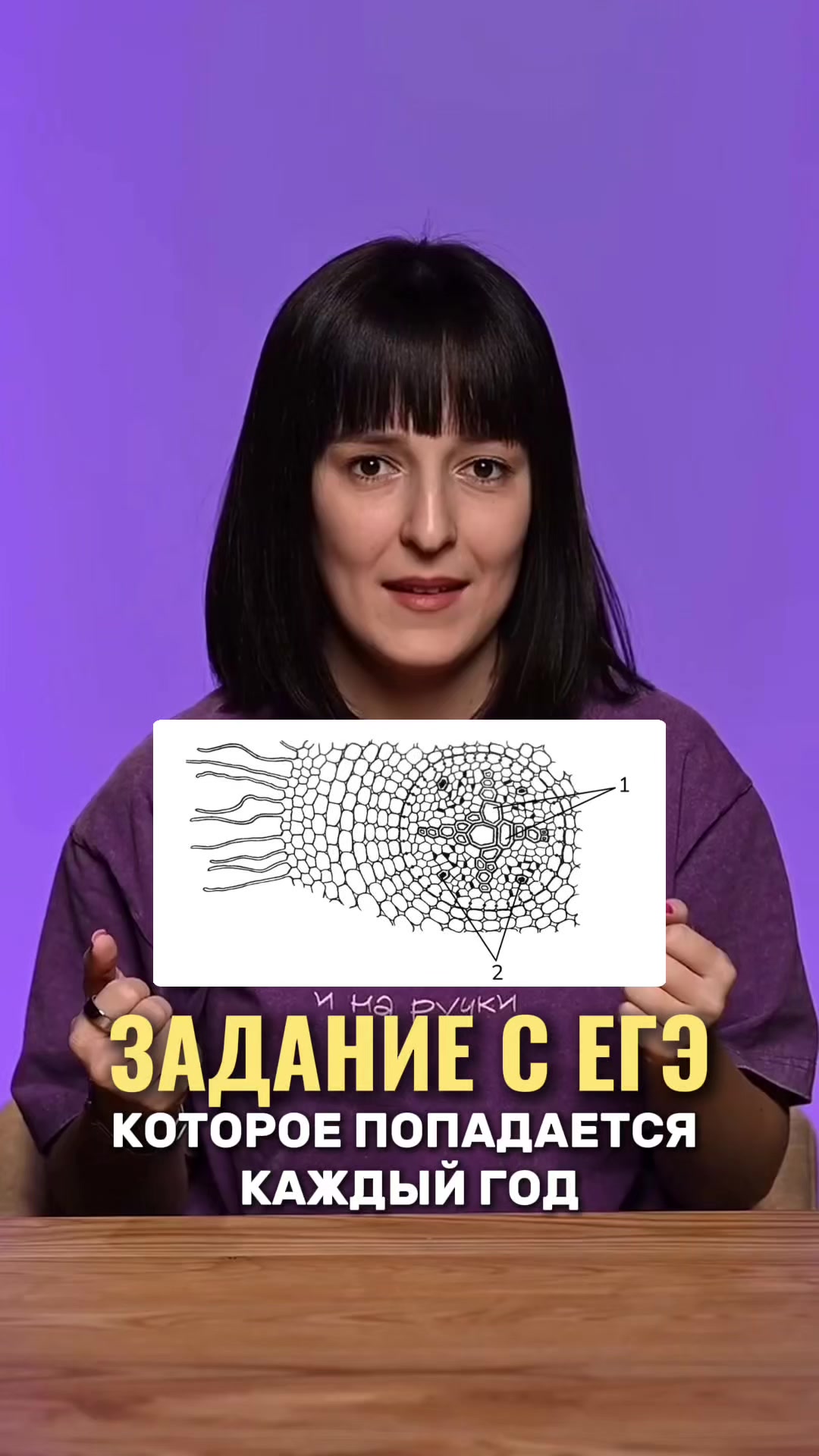 @Алёна Бриз