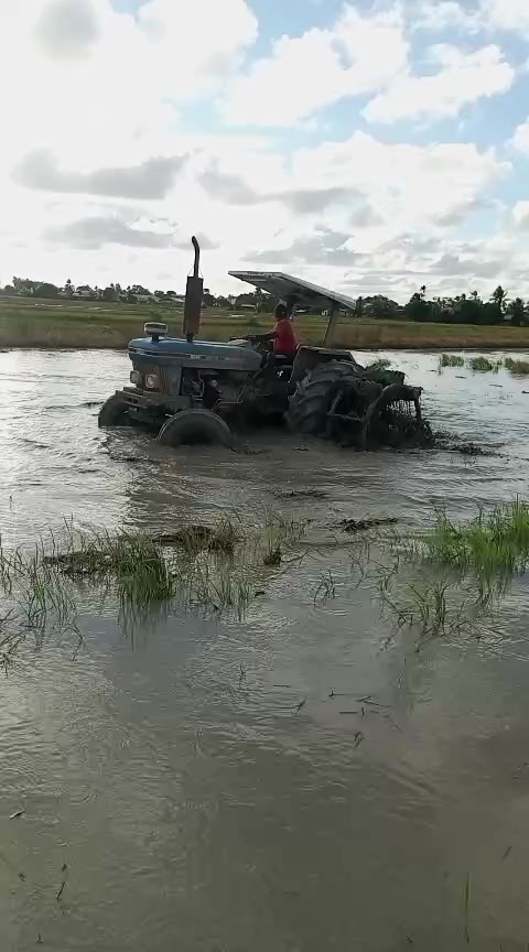 @🇸🇷🇸🇷🇸🇷🇸🇷