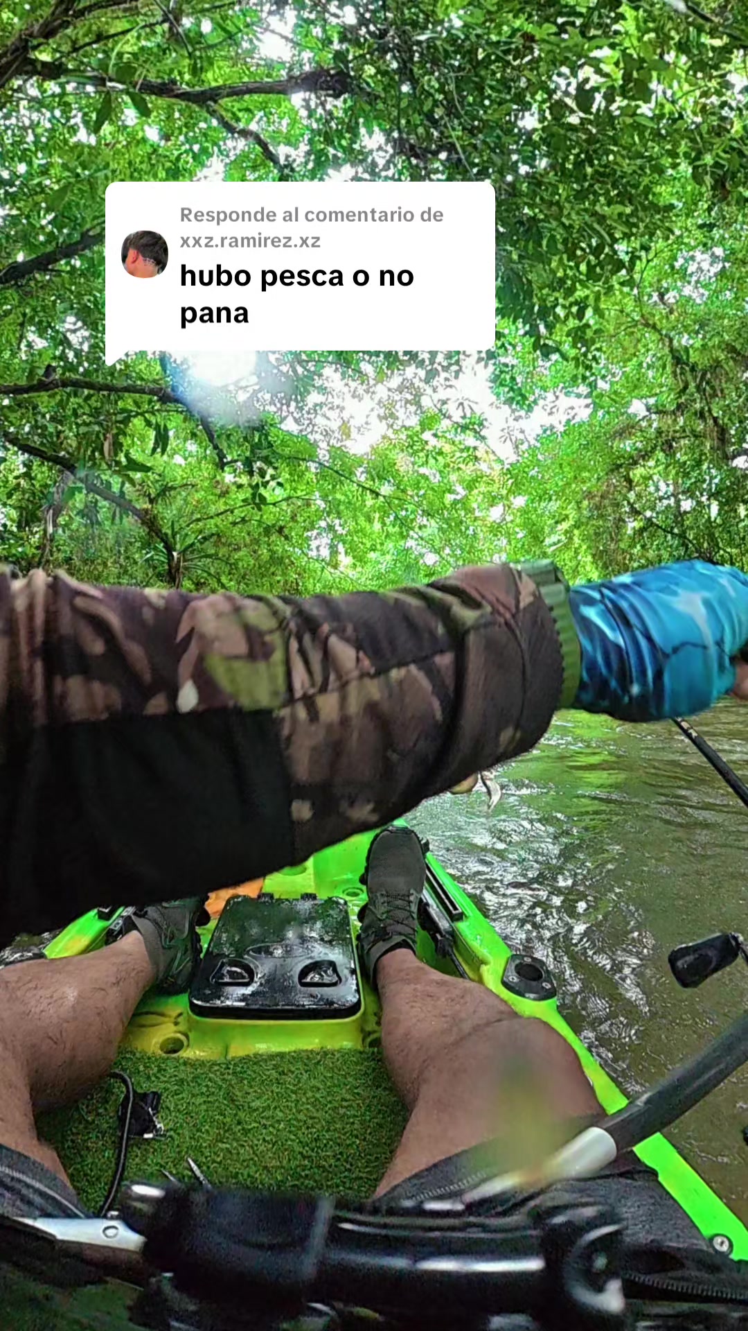 @Alejandro Silva