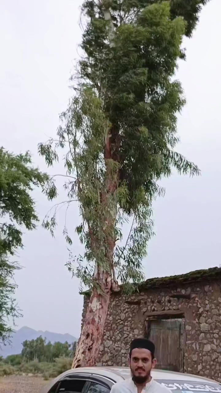 @ع سے عدنان