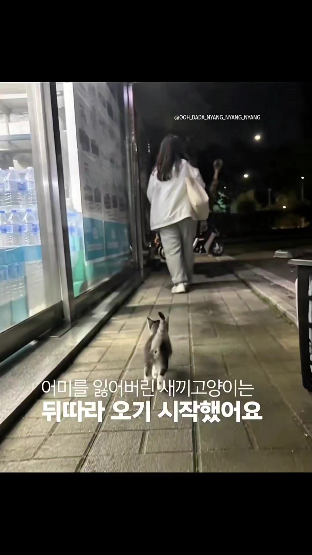 @우다다냥냥냥