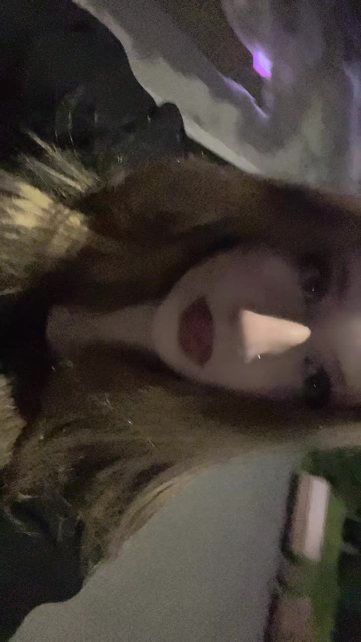 @Ваша Гелька😜💋