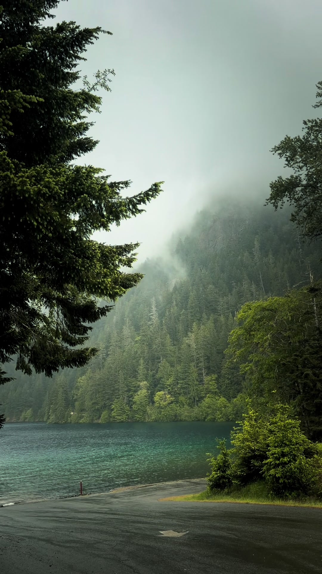 @Jordan PNW Adventures