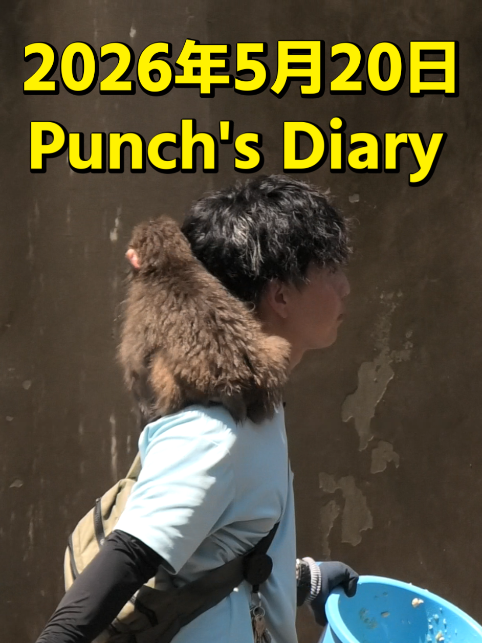 @Punch's Growth Diary