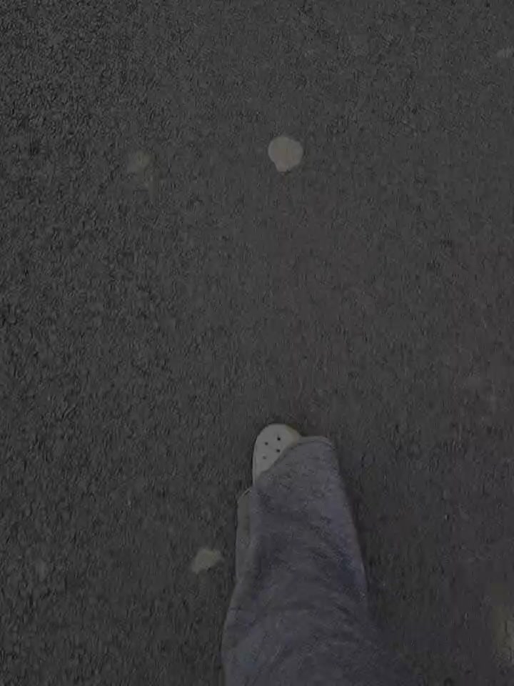 @निस्चल गाहा मगर🌸