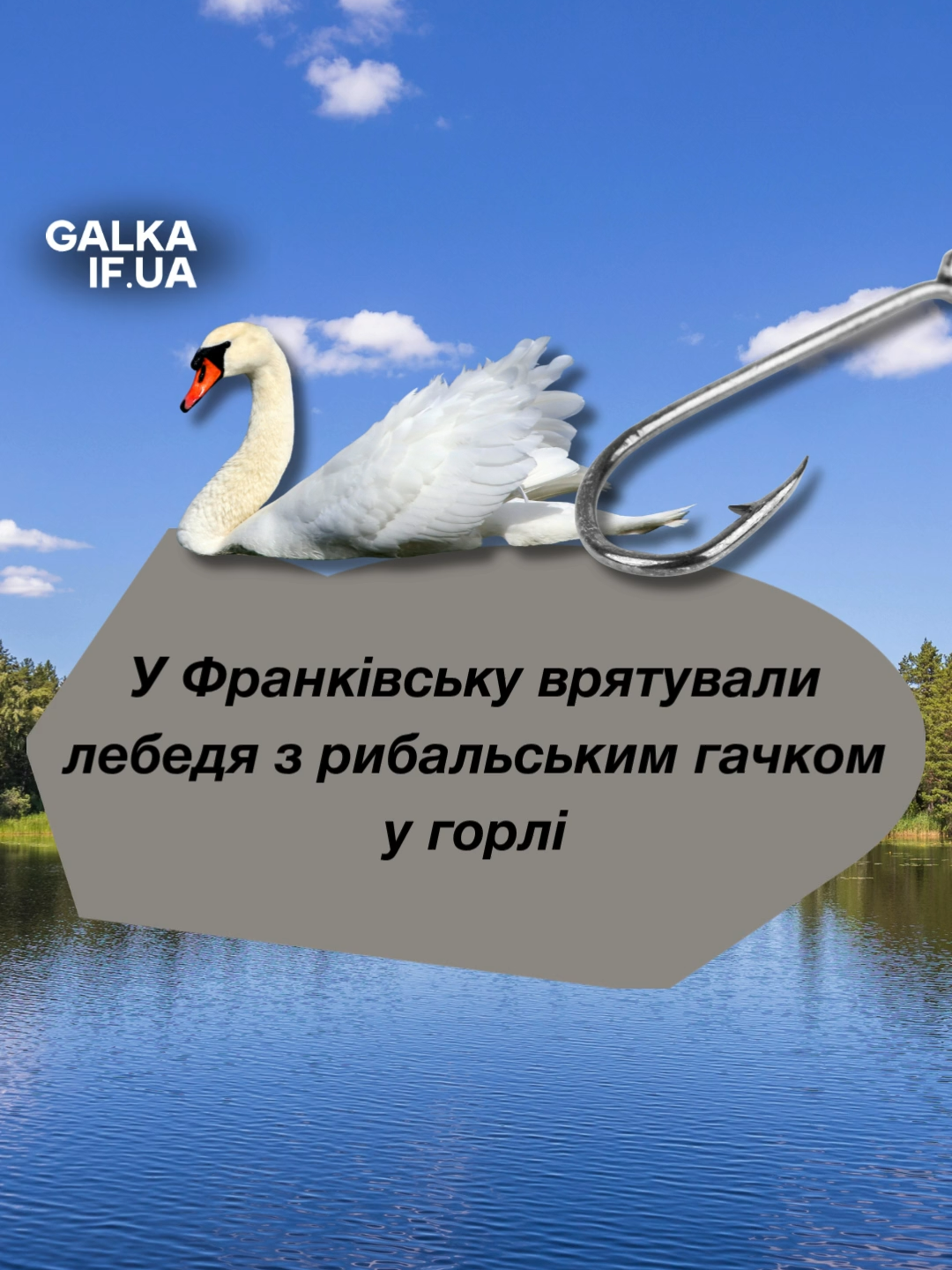 @GALKA.IF.UA