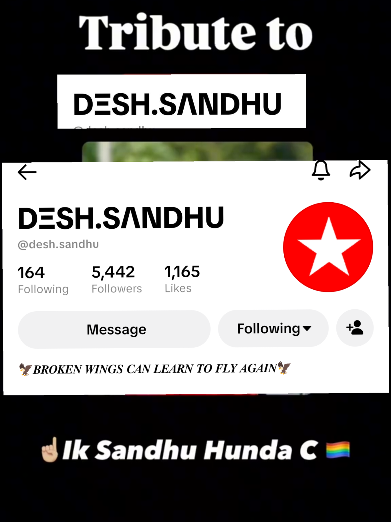 @ਟਿਕ ਟੋਕ ਚਿੰਤਕ