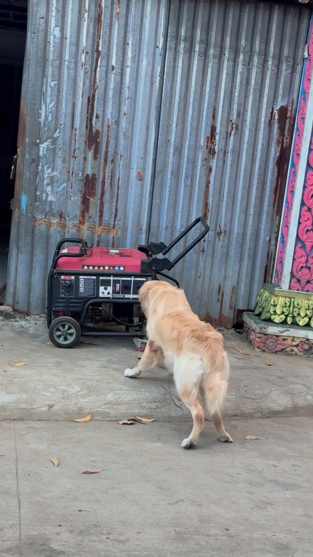 @Nết NaRy Thuê Đồ SomRong