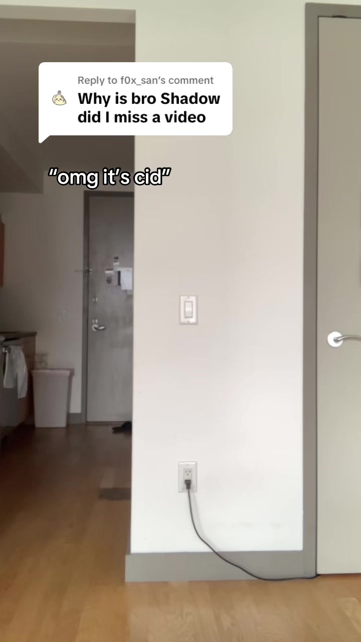 @snaptocks (also on yt)