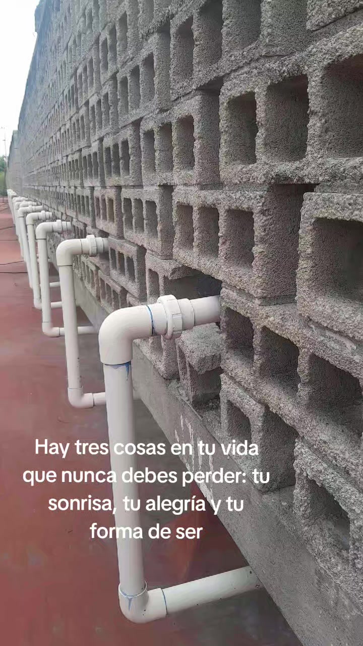 @Alejandro Ruiz Caco