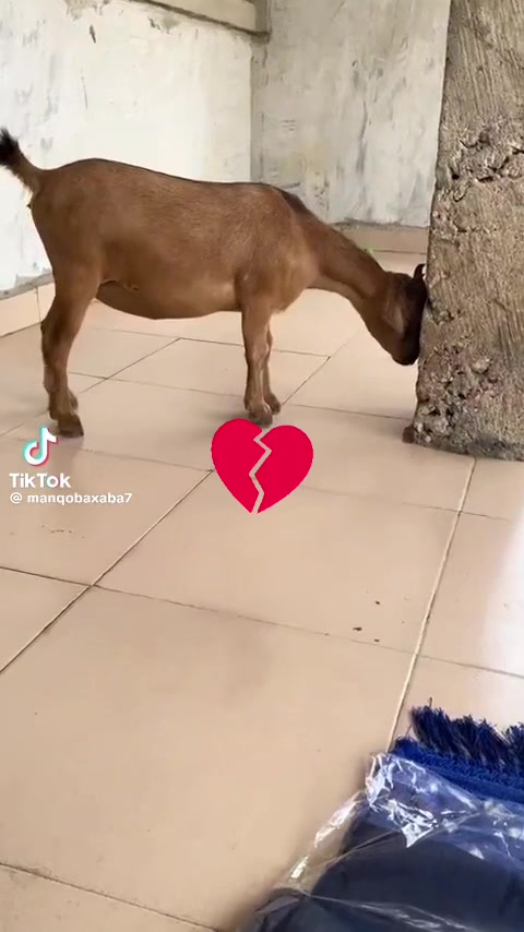 @Dickson