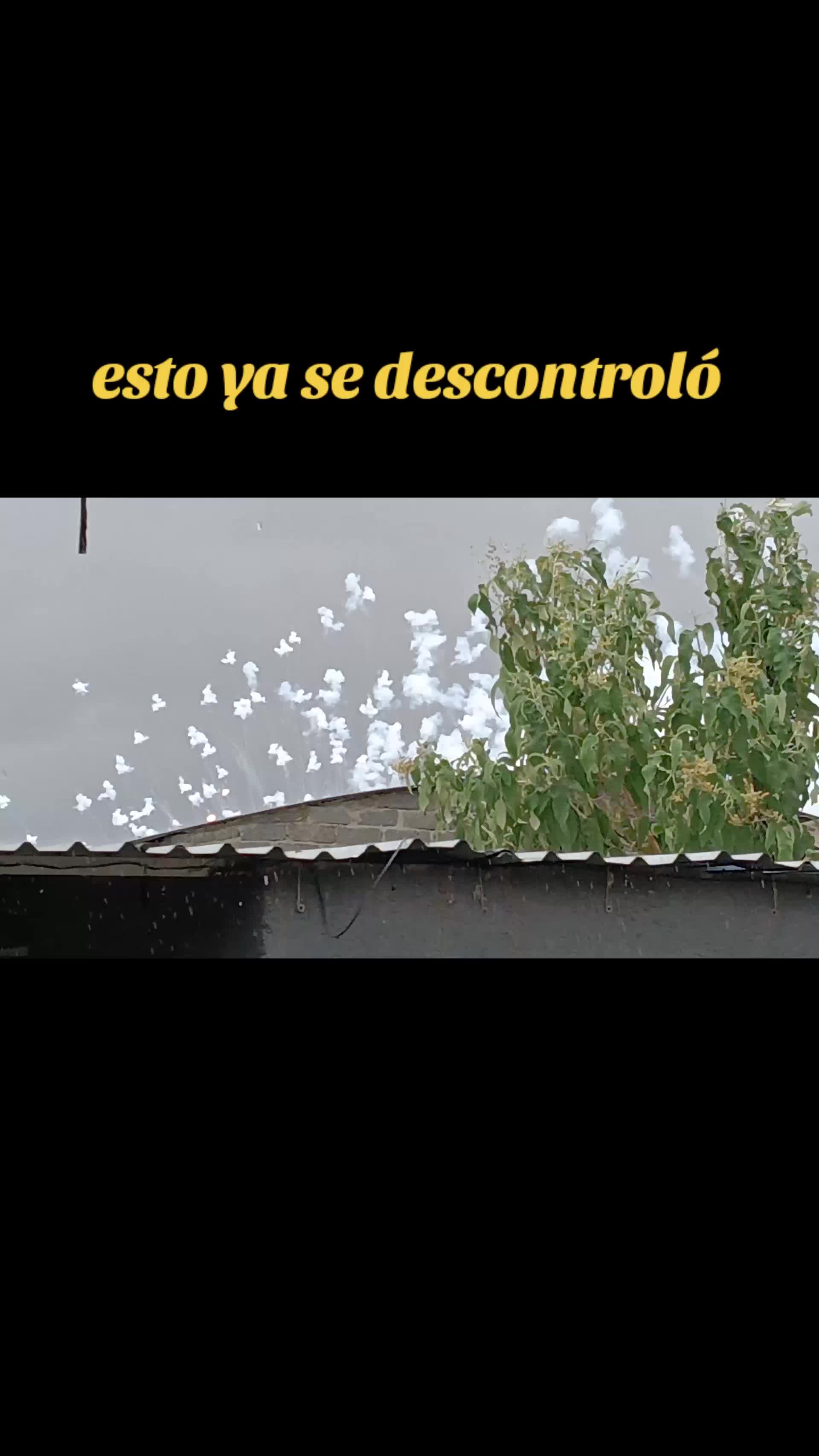 @Pantera Nidrgil