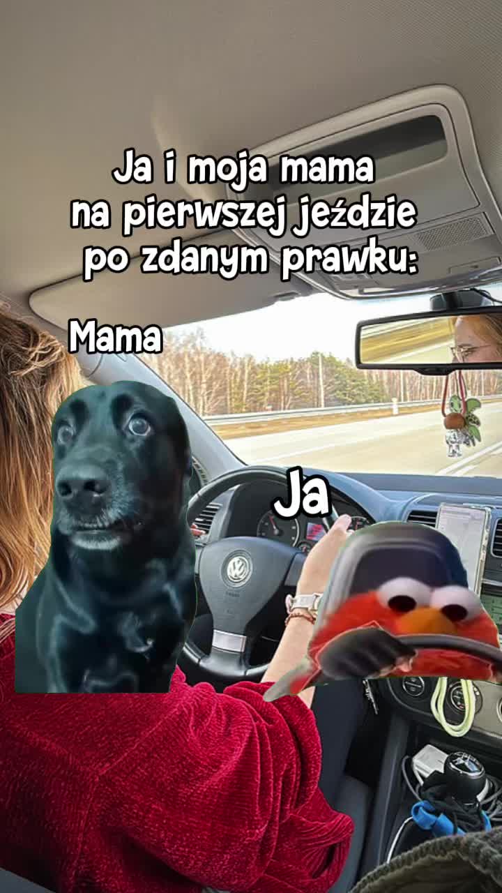 @EduDrive.pl