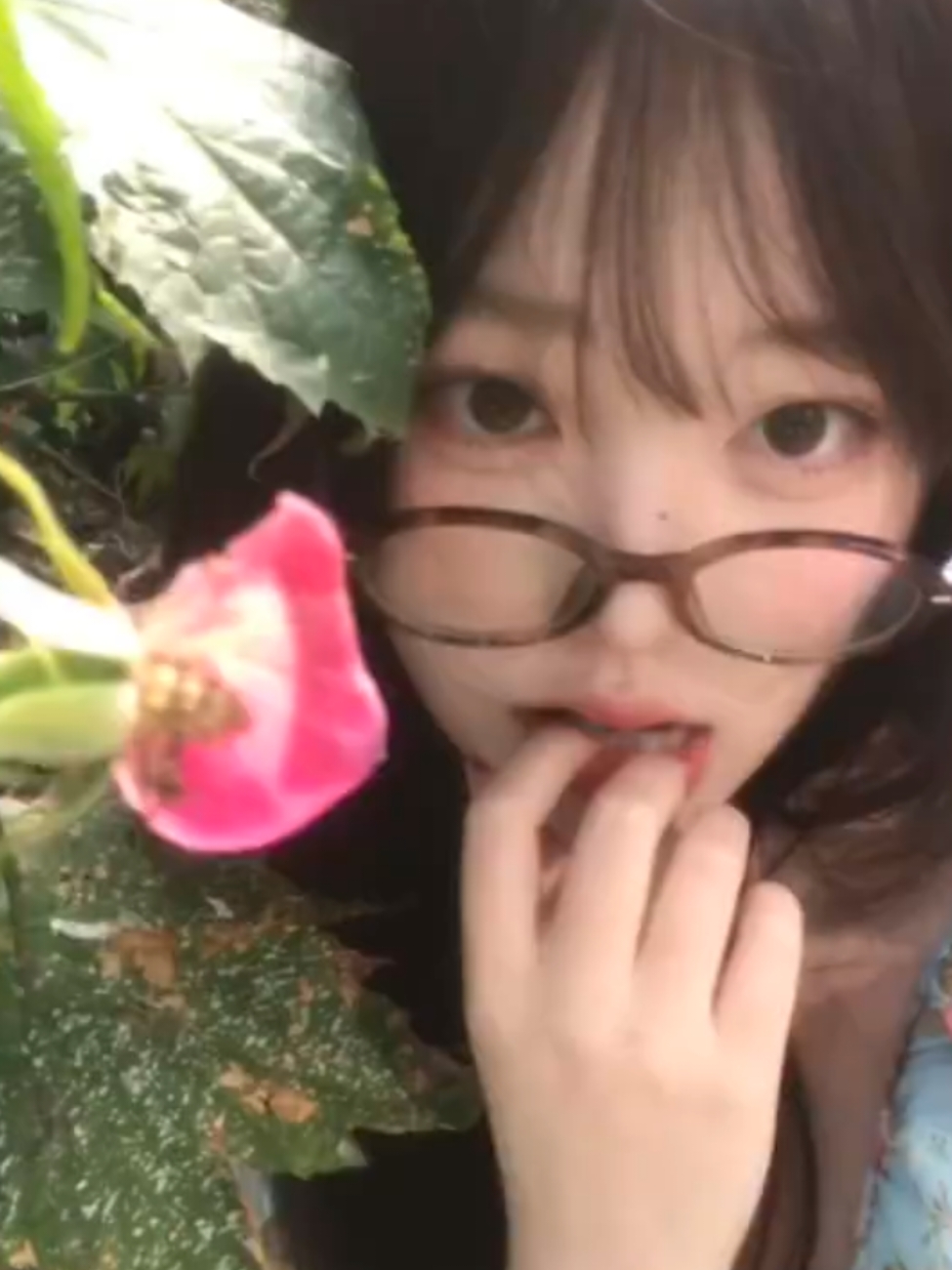@* ੈ✩‧₊˚