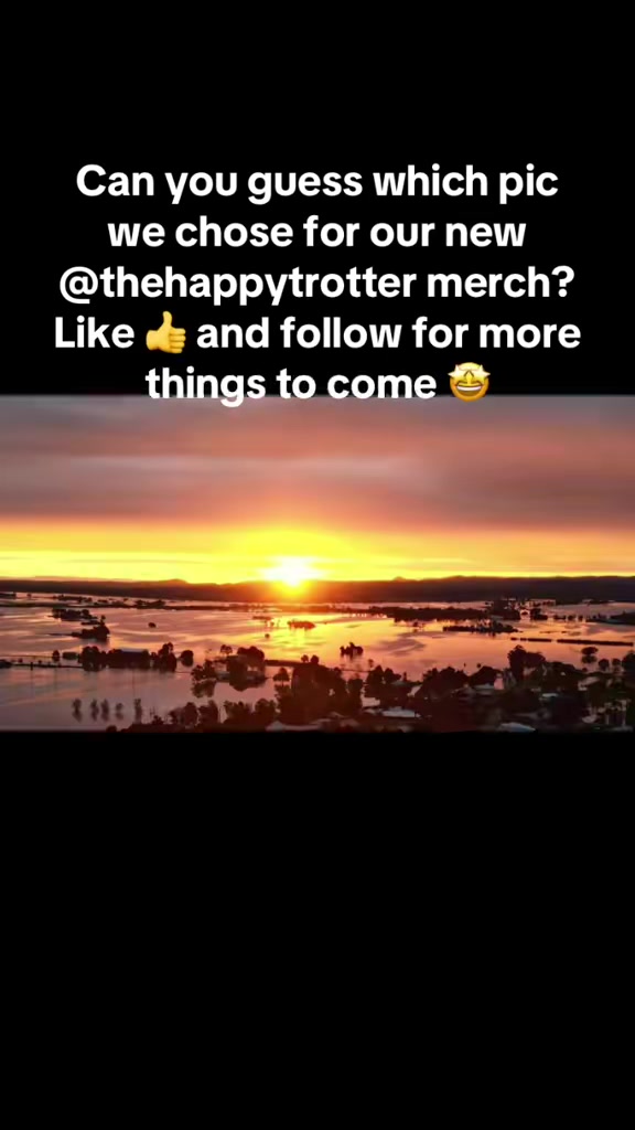@Happy Trotter