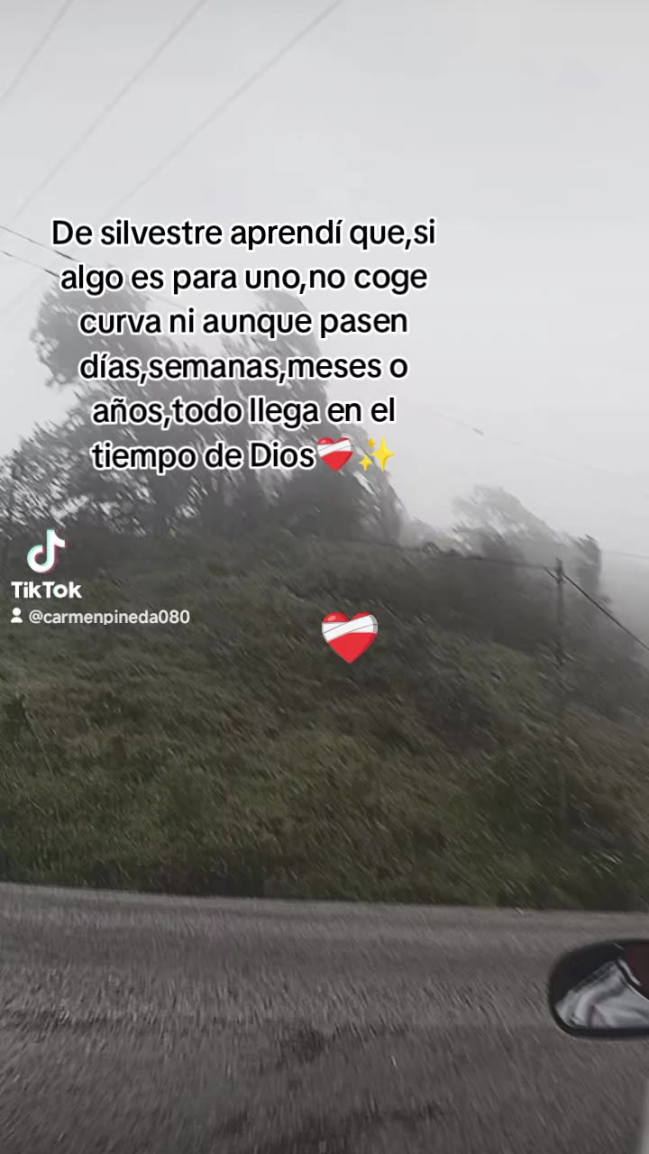 @Carmen Pineda