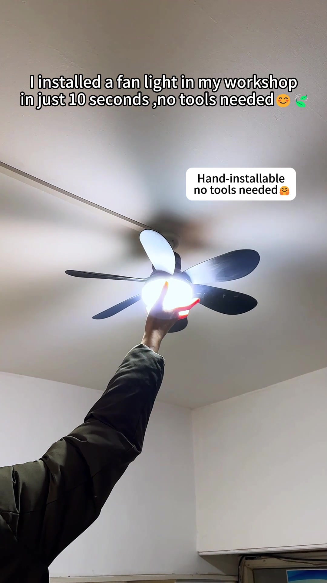 @Shayne Glow