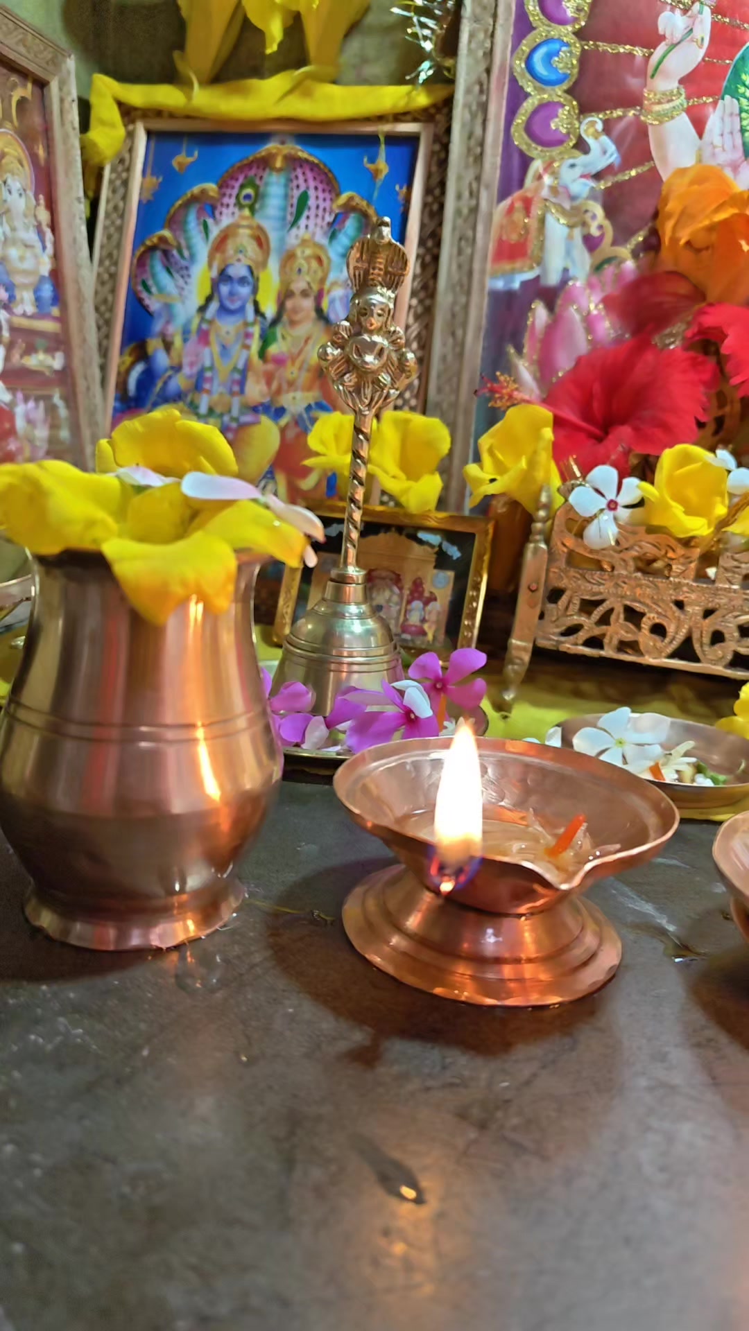 @Radhe Radhe 🙏🦚❤️