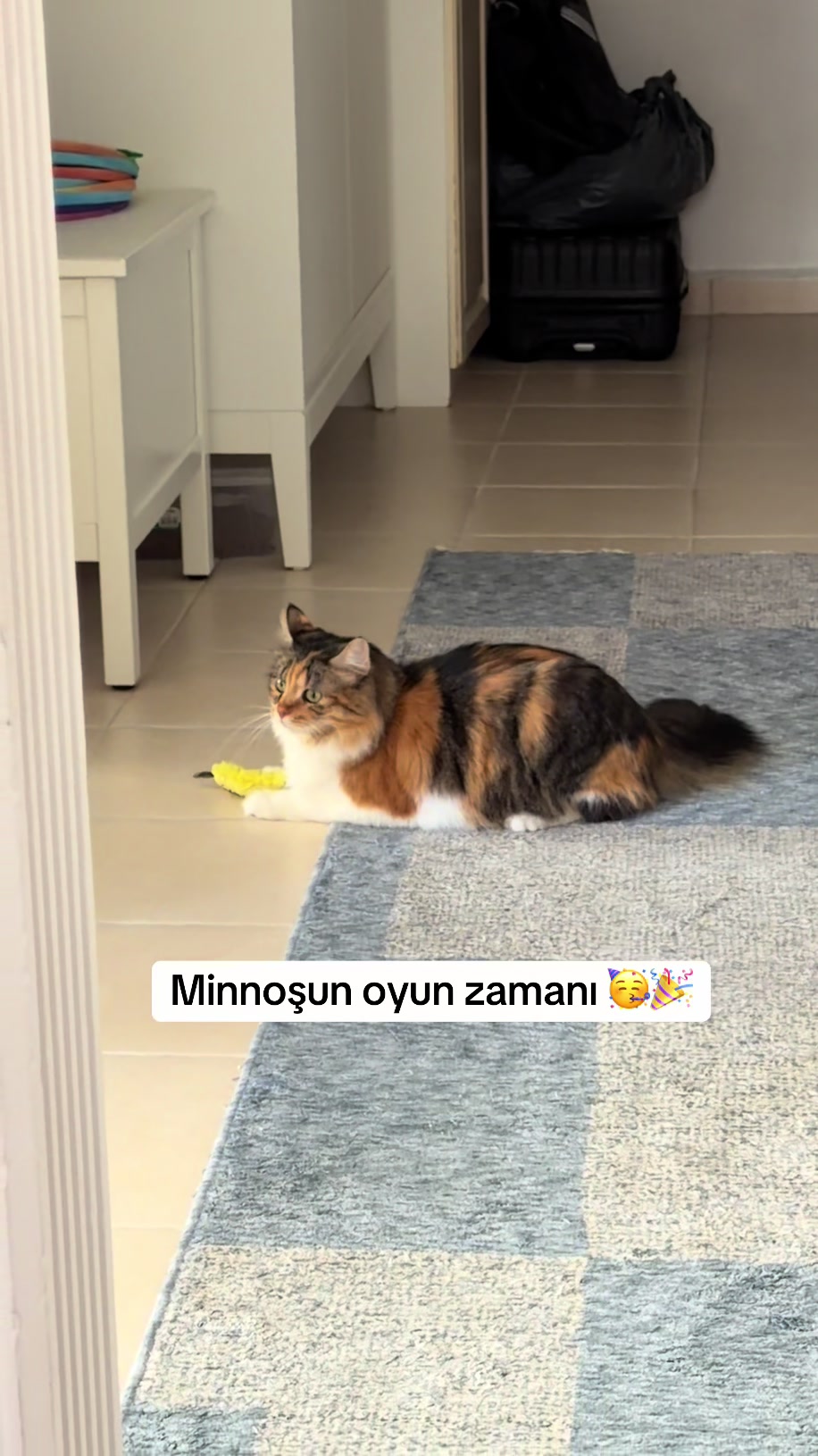 @konusankediminnos