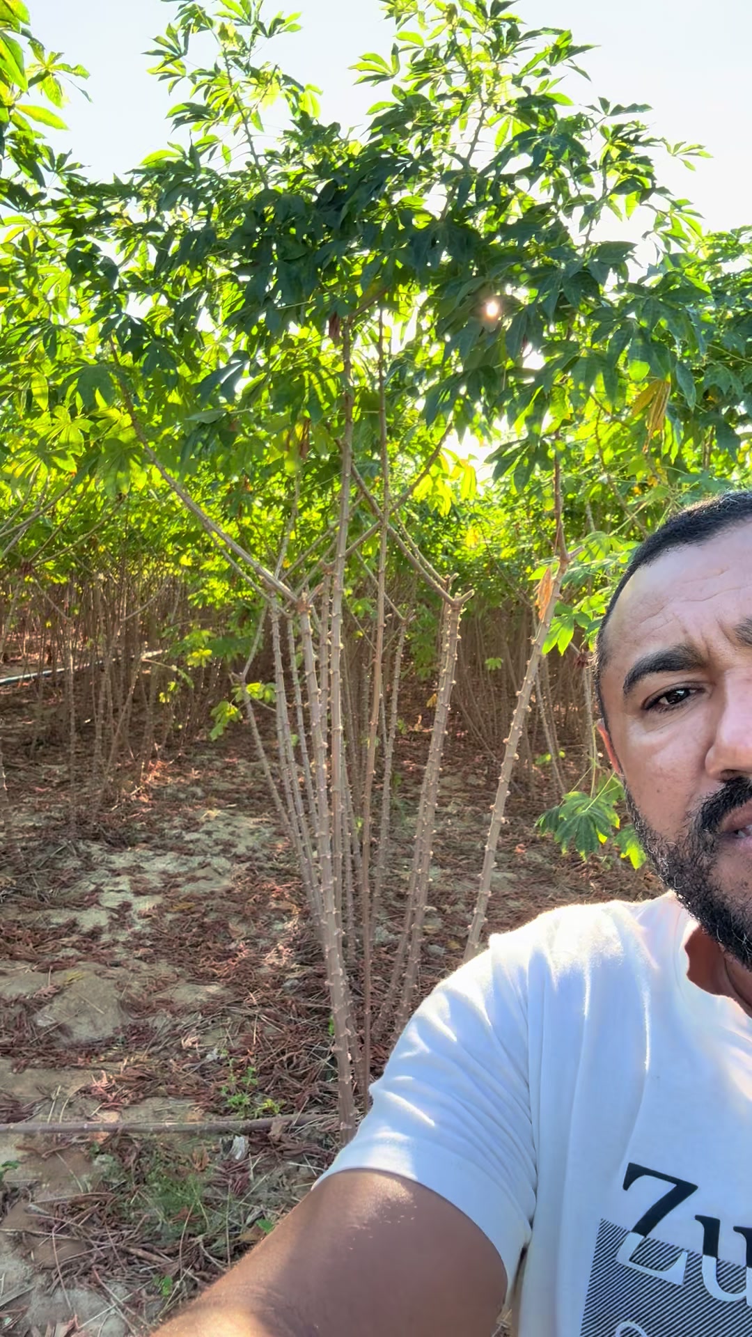 @Cícero Maicon Lopes