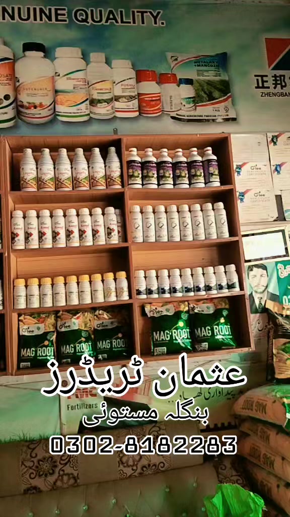 @usamahabibmastoi1