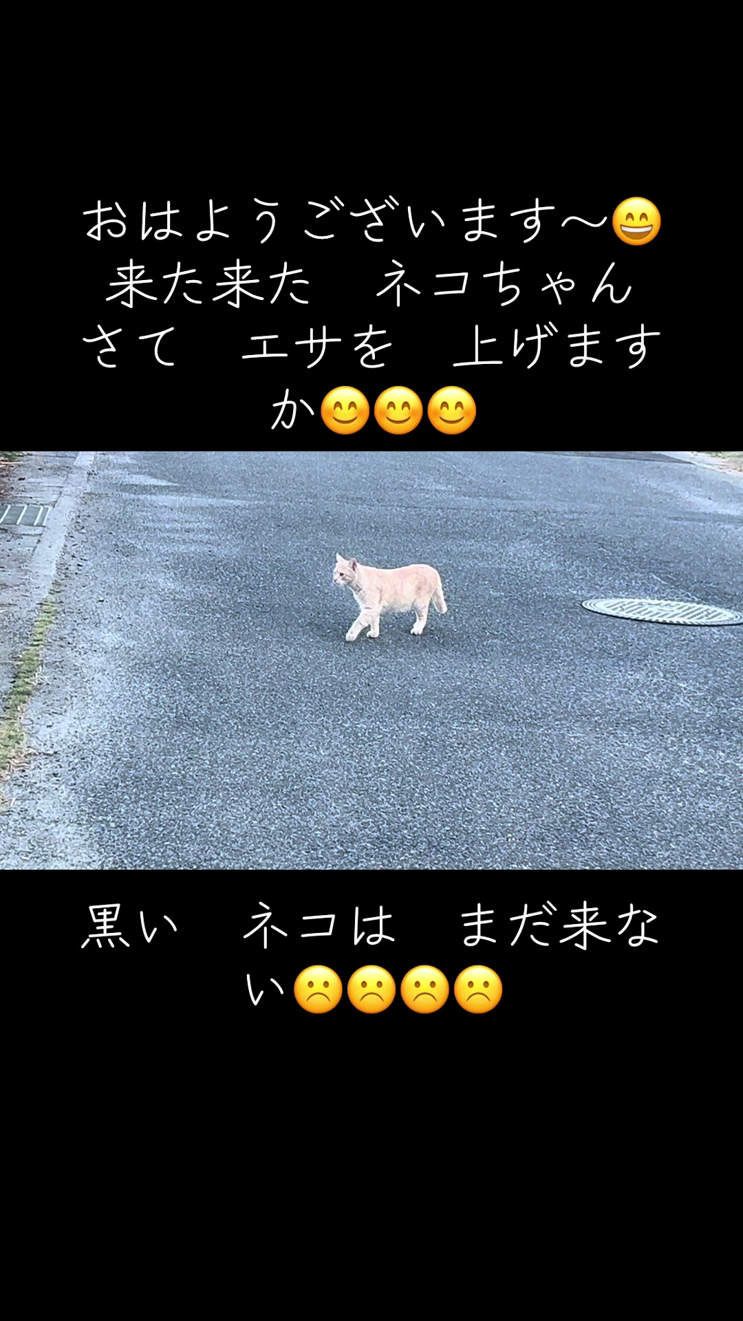 @かんちゃん