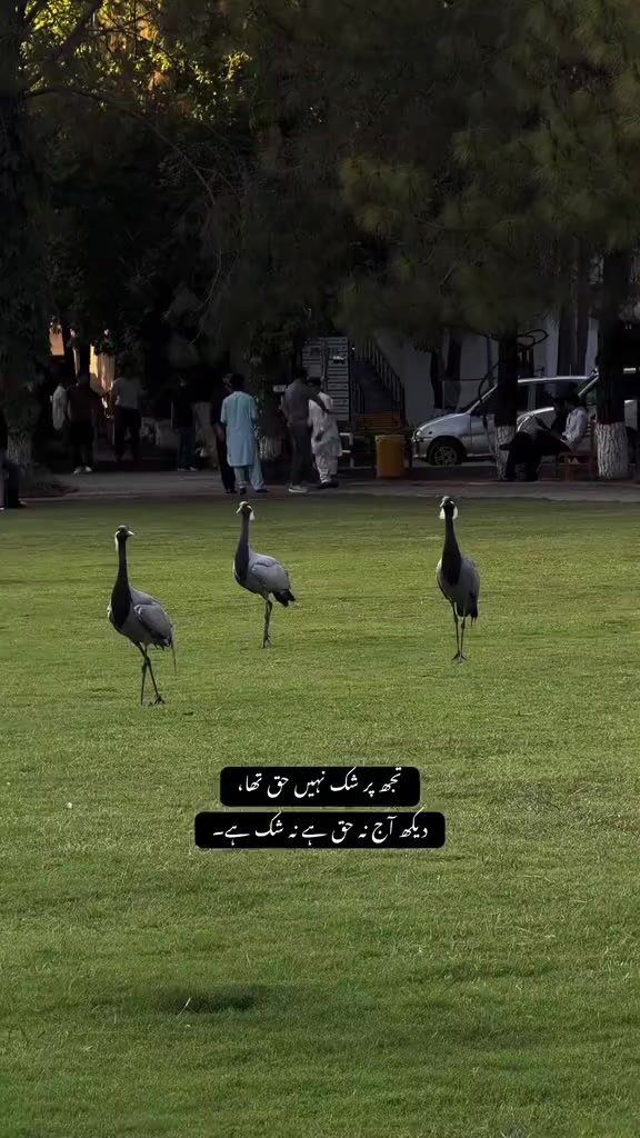 @𝐒م🫀