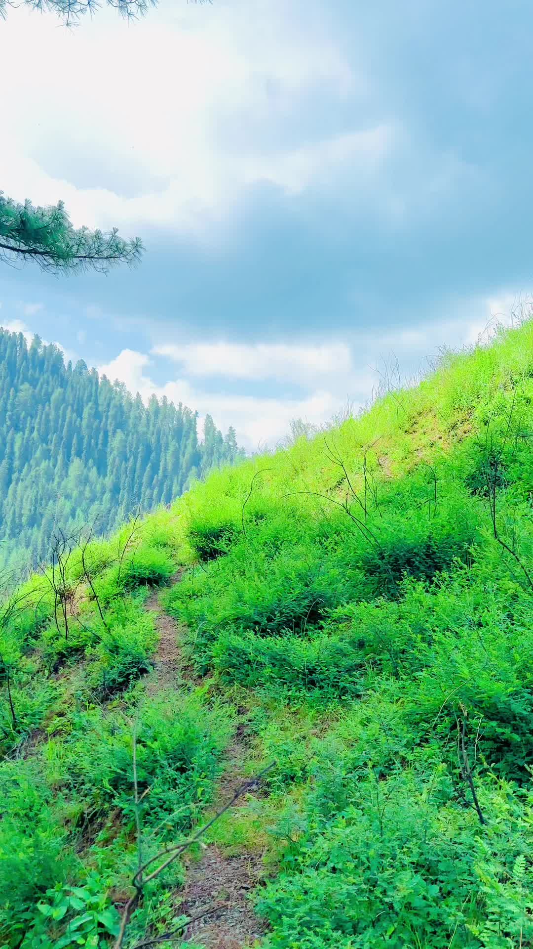 @🔥خان زادہ عرفان🔥