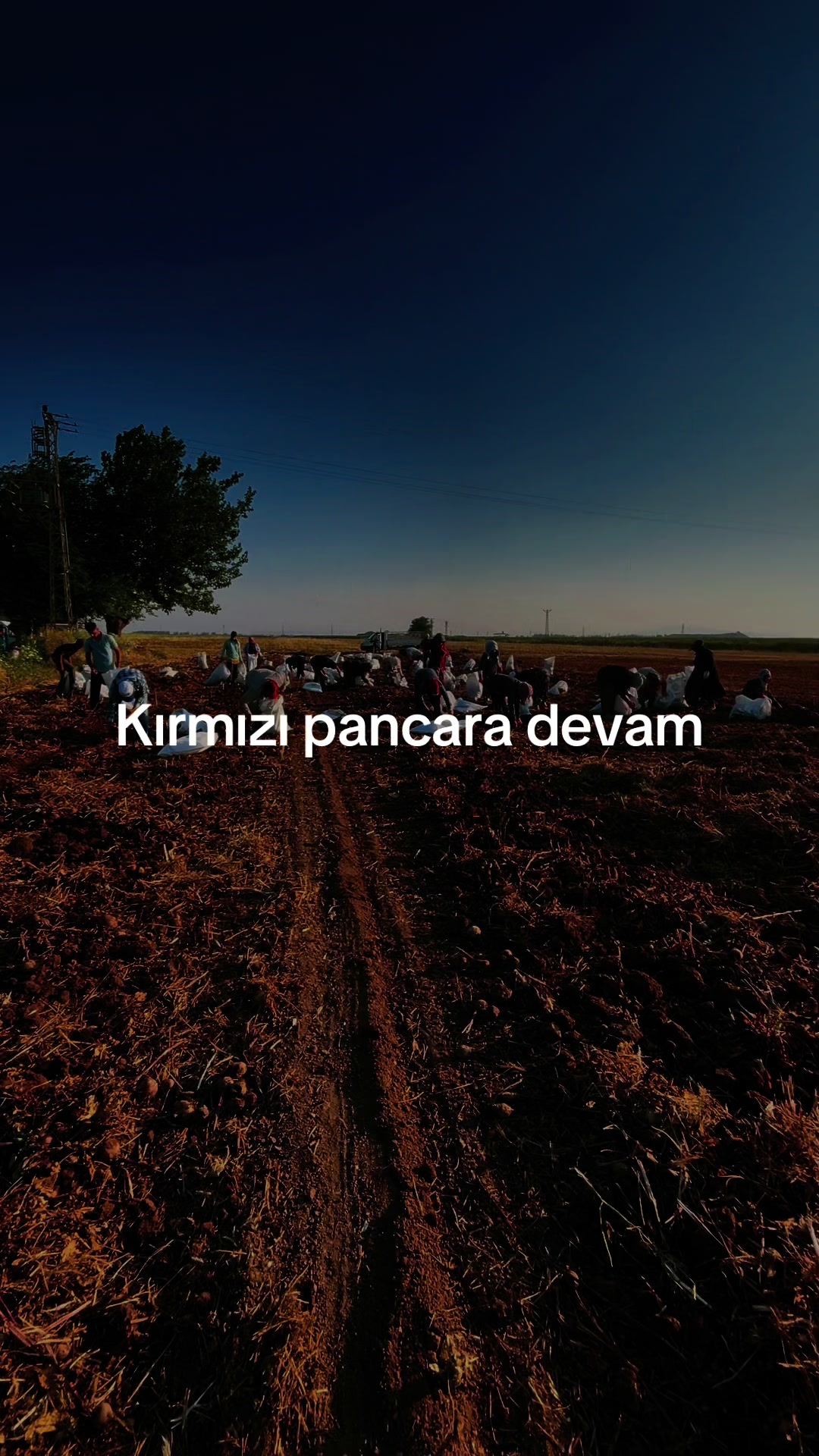 @YUSUF CİKE &Ccedil;AVUŞ