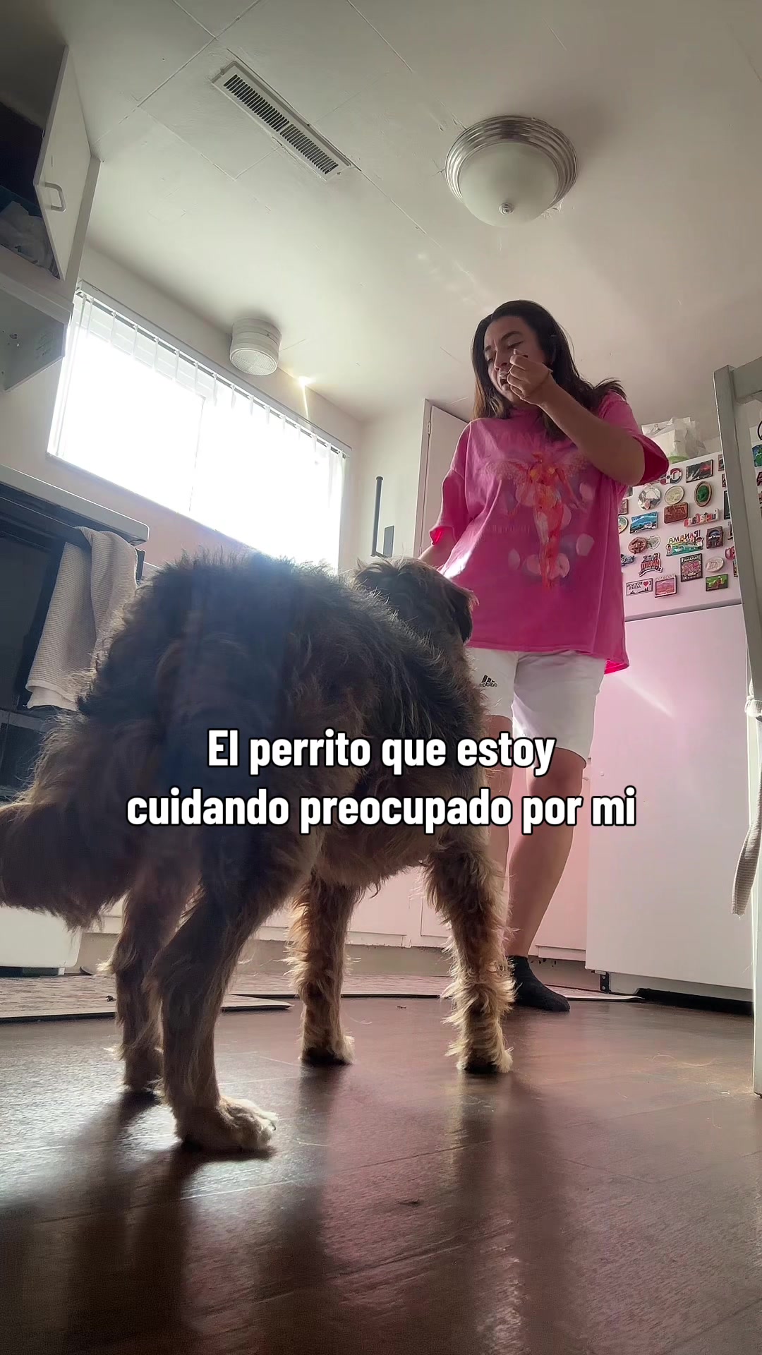 @tatianaplusnala