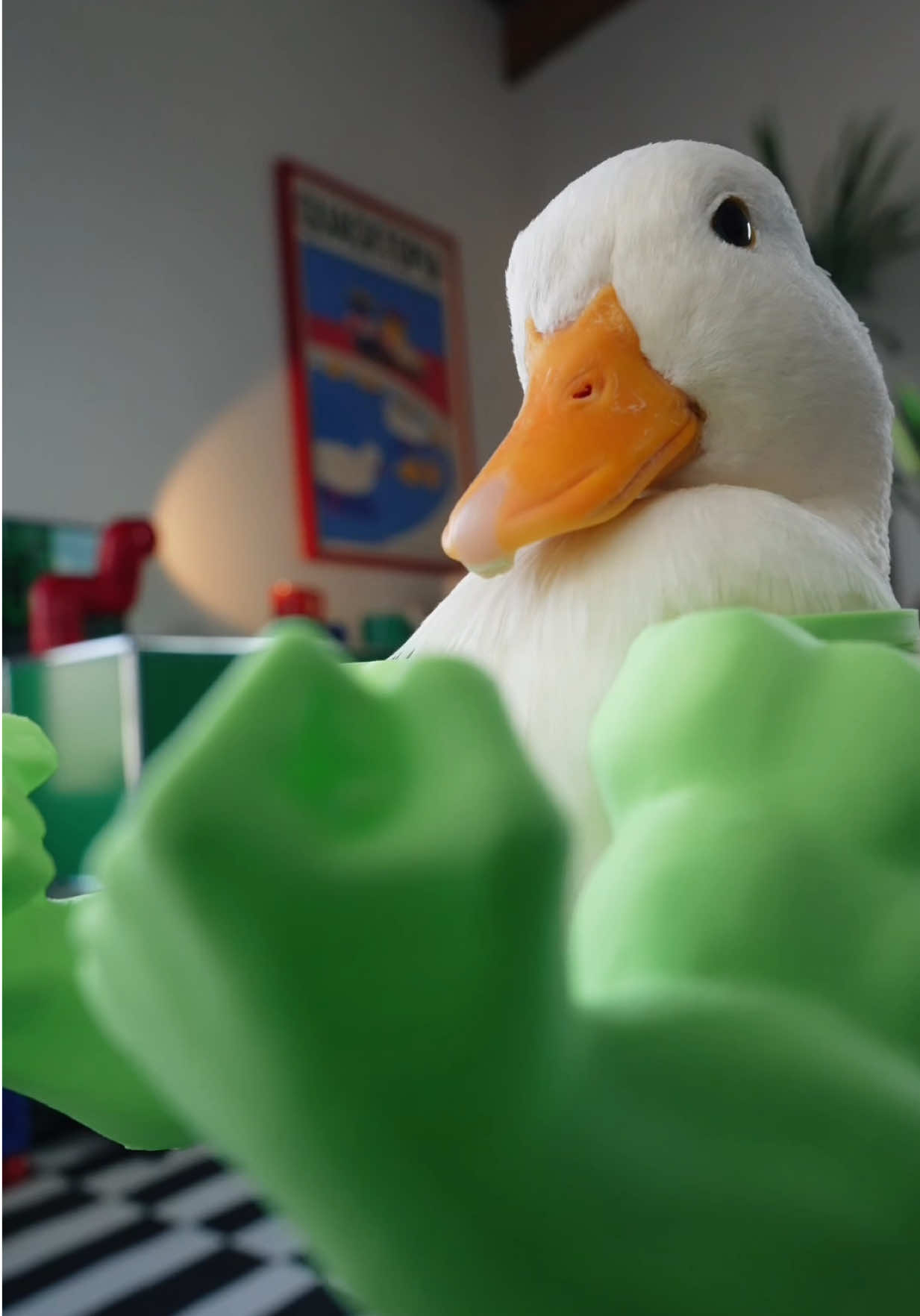 @ducks_in_space🪿🪿💦