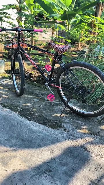 @tripujianto15