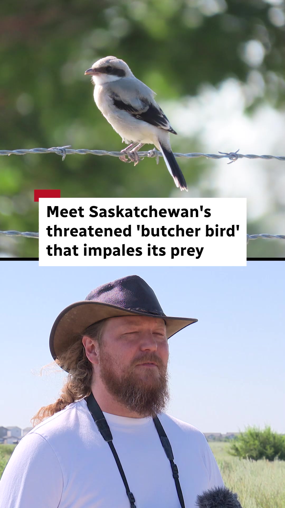 @CBC Saskatchewan