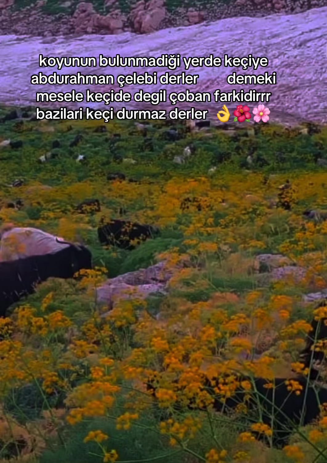 @ŞİYAR ✪