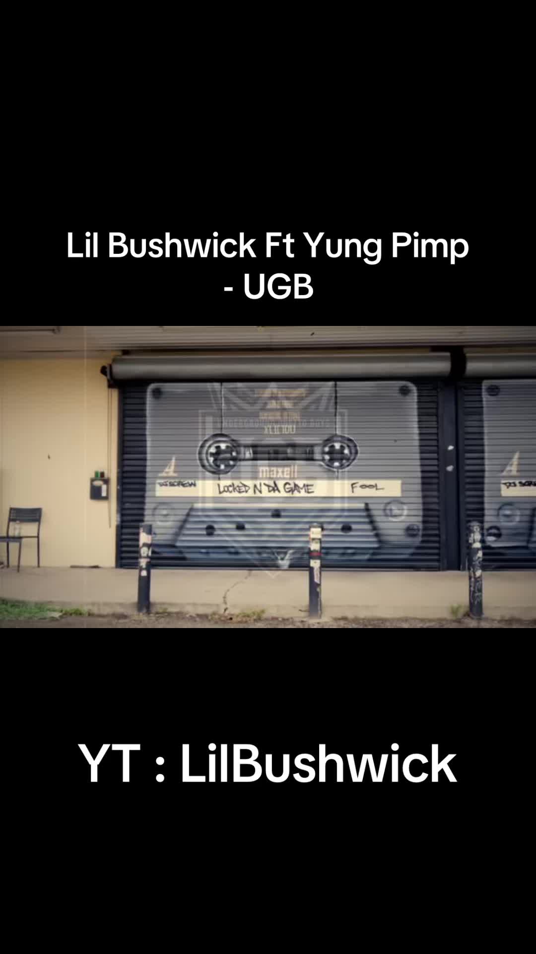 @lilbushwick
