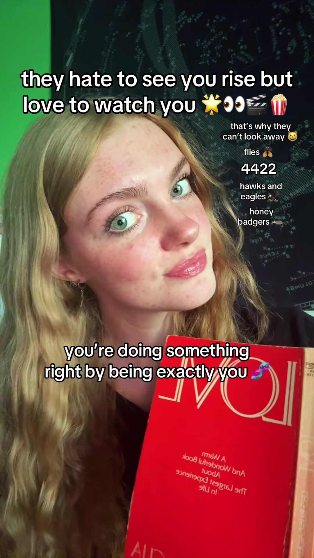 @heidi 🦊🐉🧚⋆⭒˚.⋆