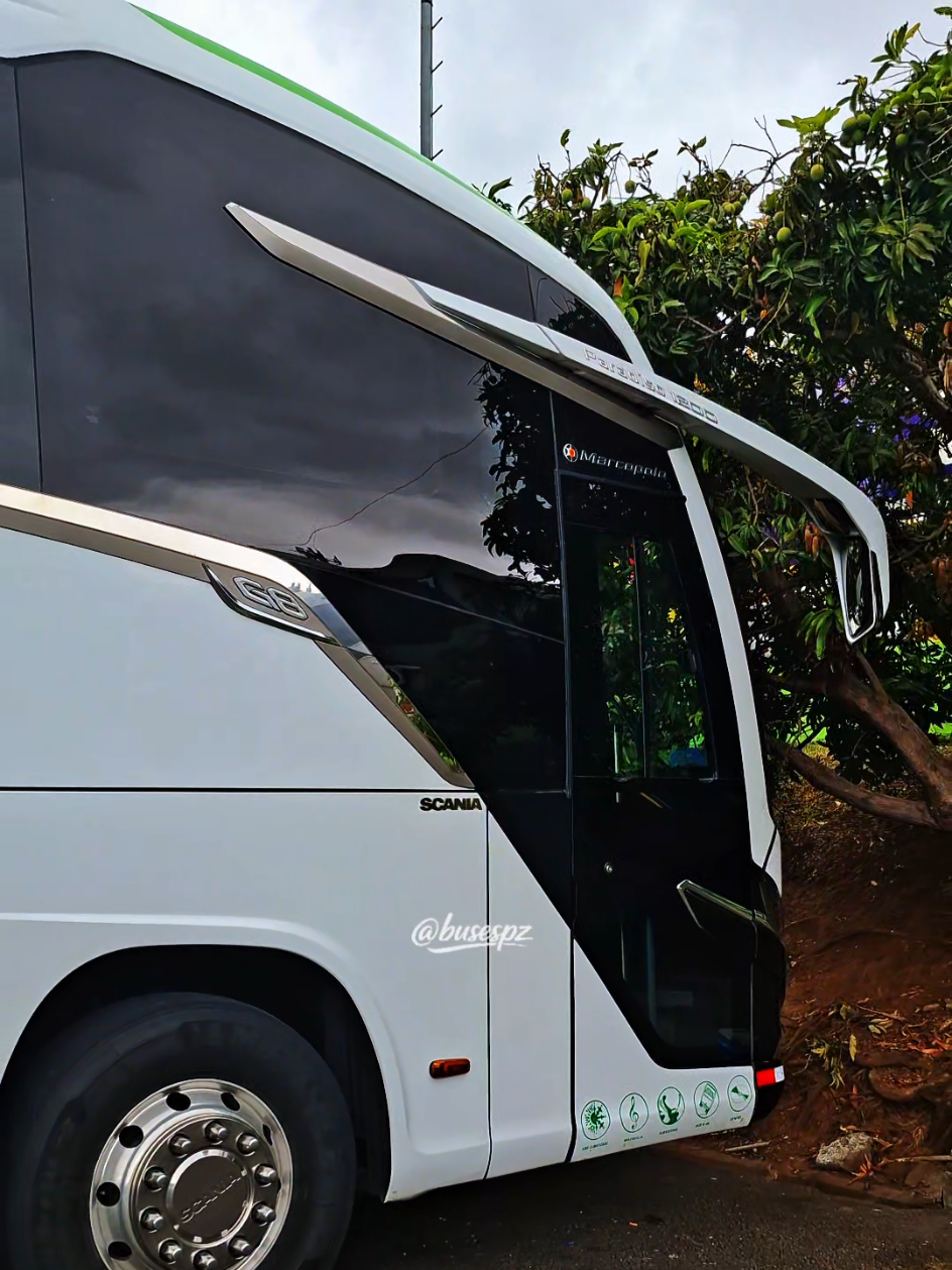 @BUSES PZ | BPZ