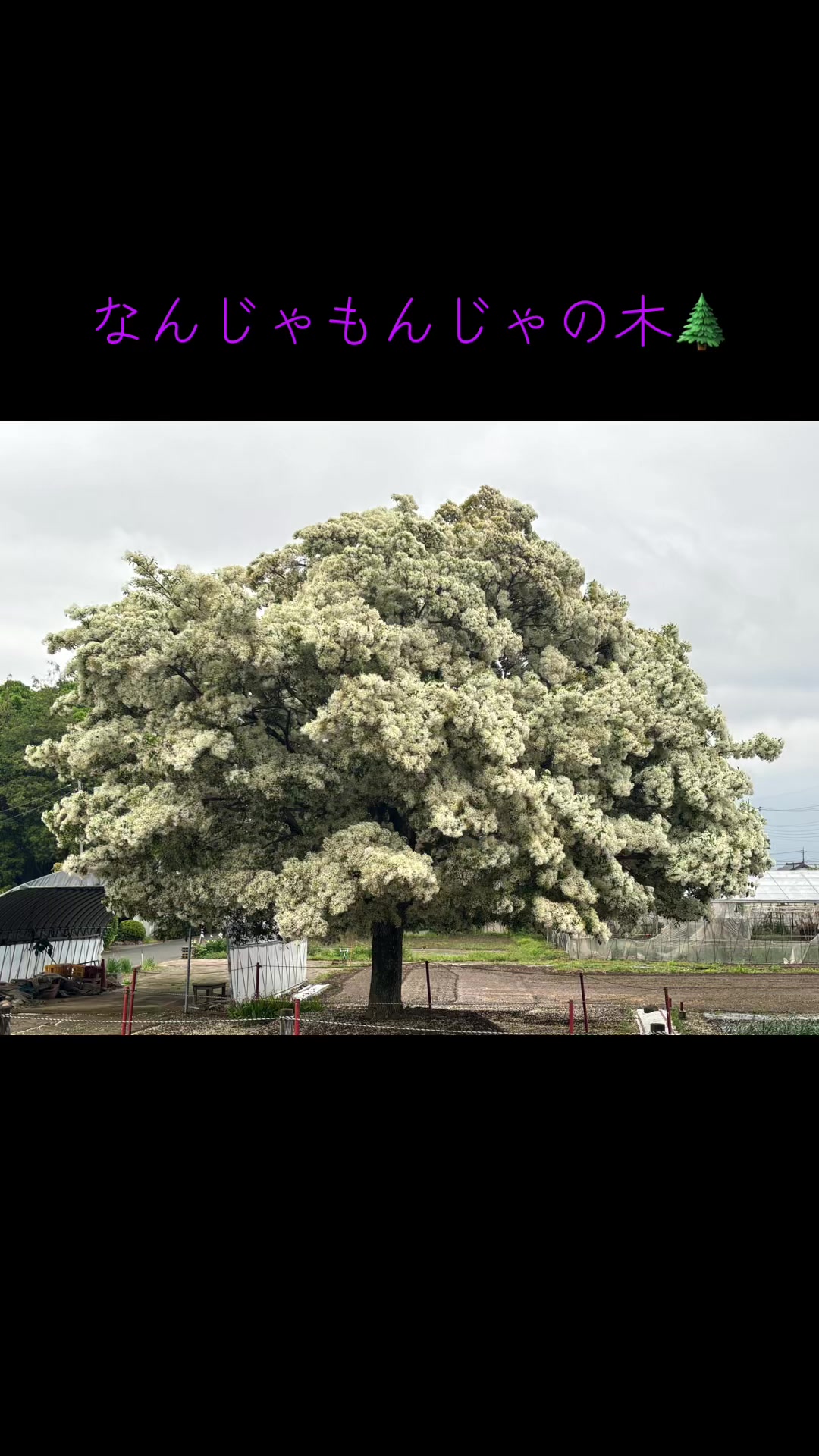 @ぜる