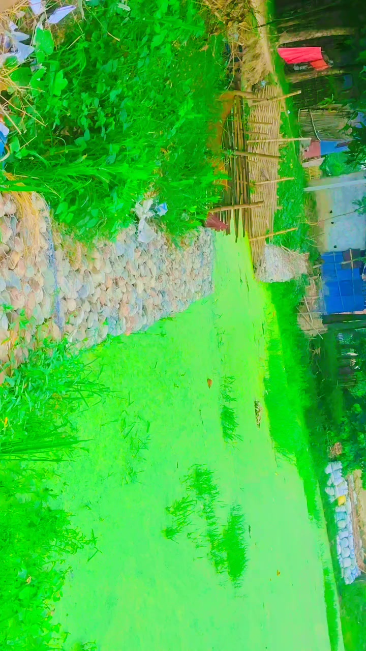 @Raushan yadav