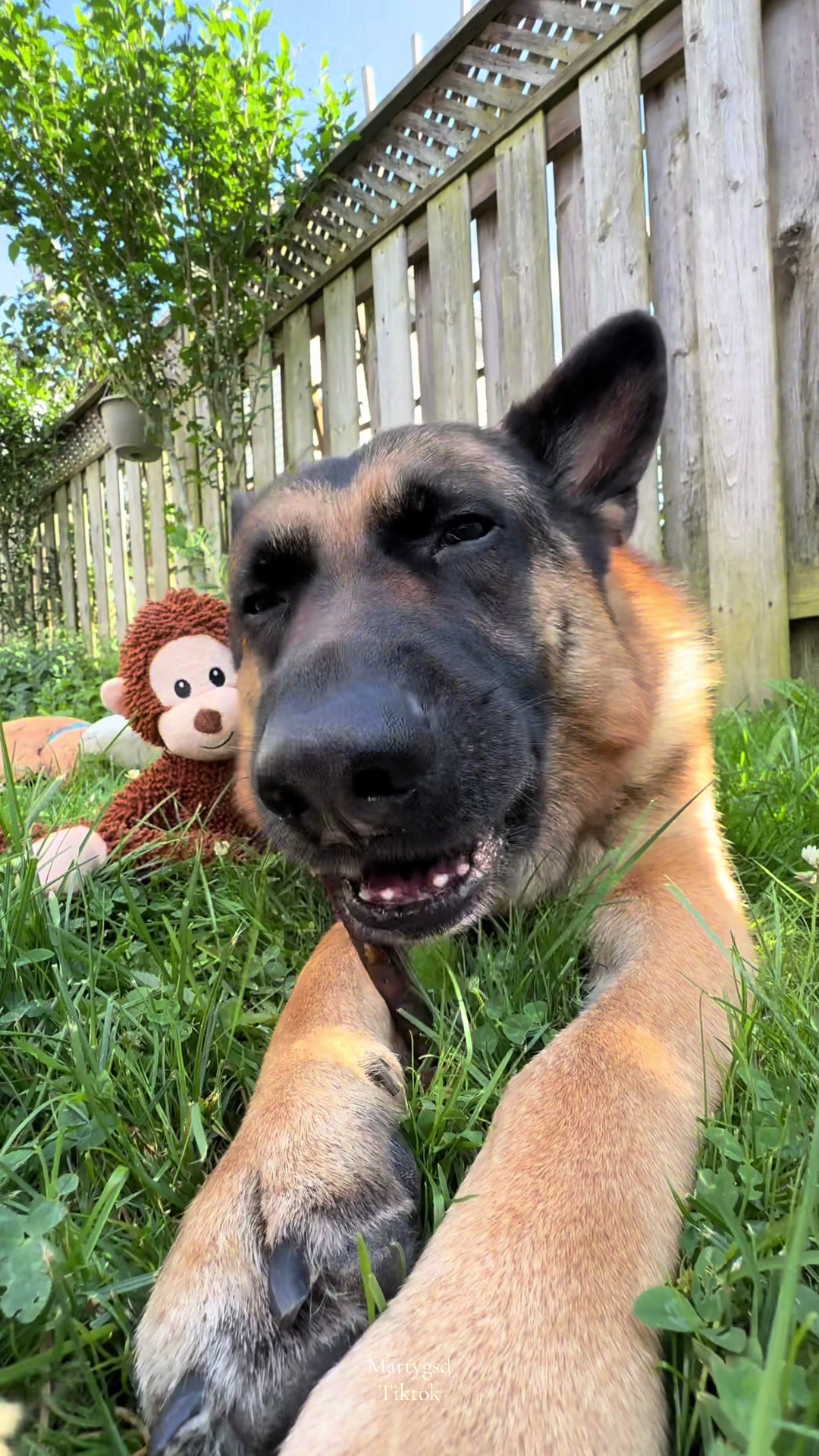 @Martygsd