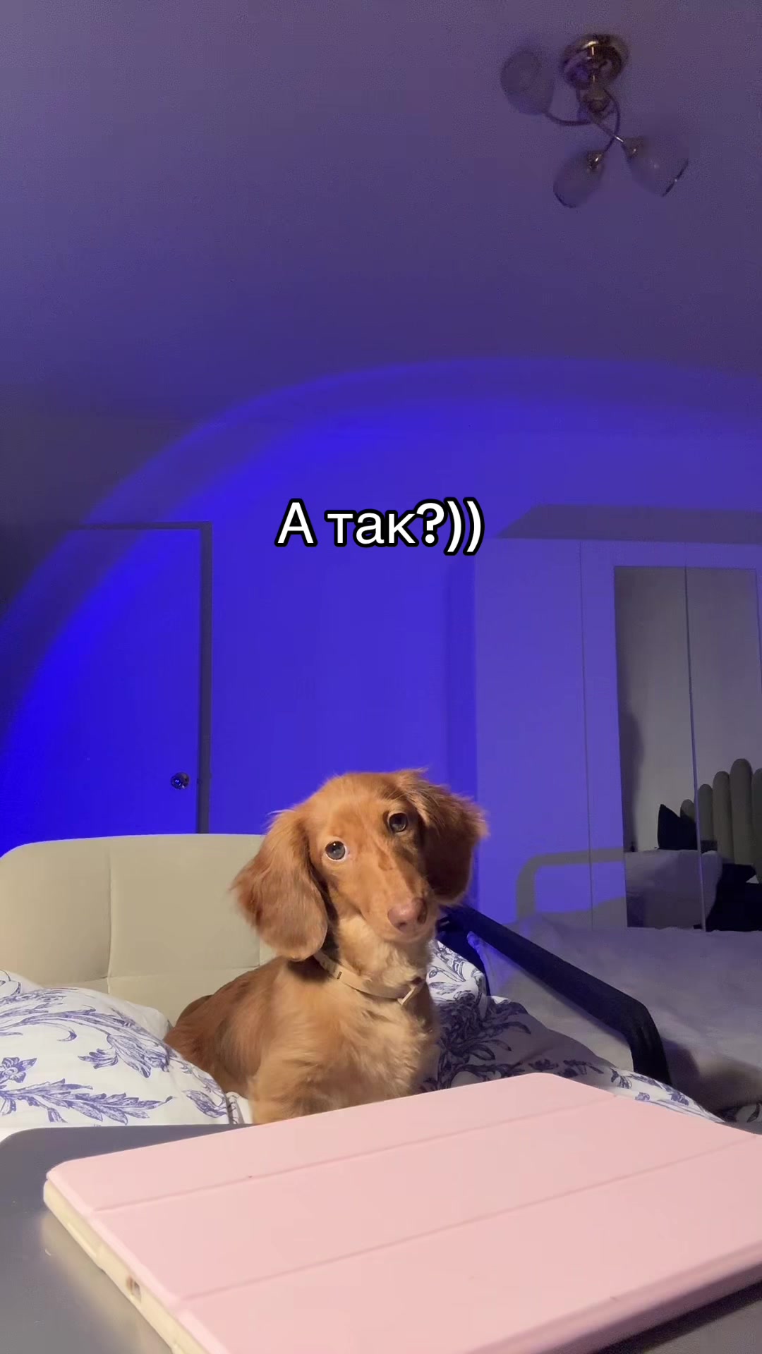 @psy_valeriii психолог КПТ/ACT