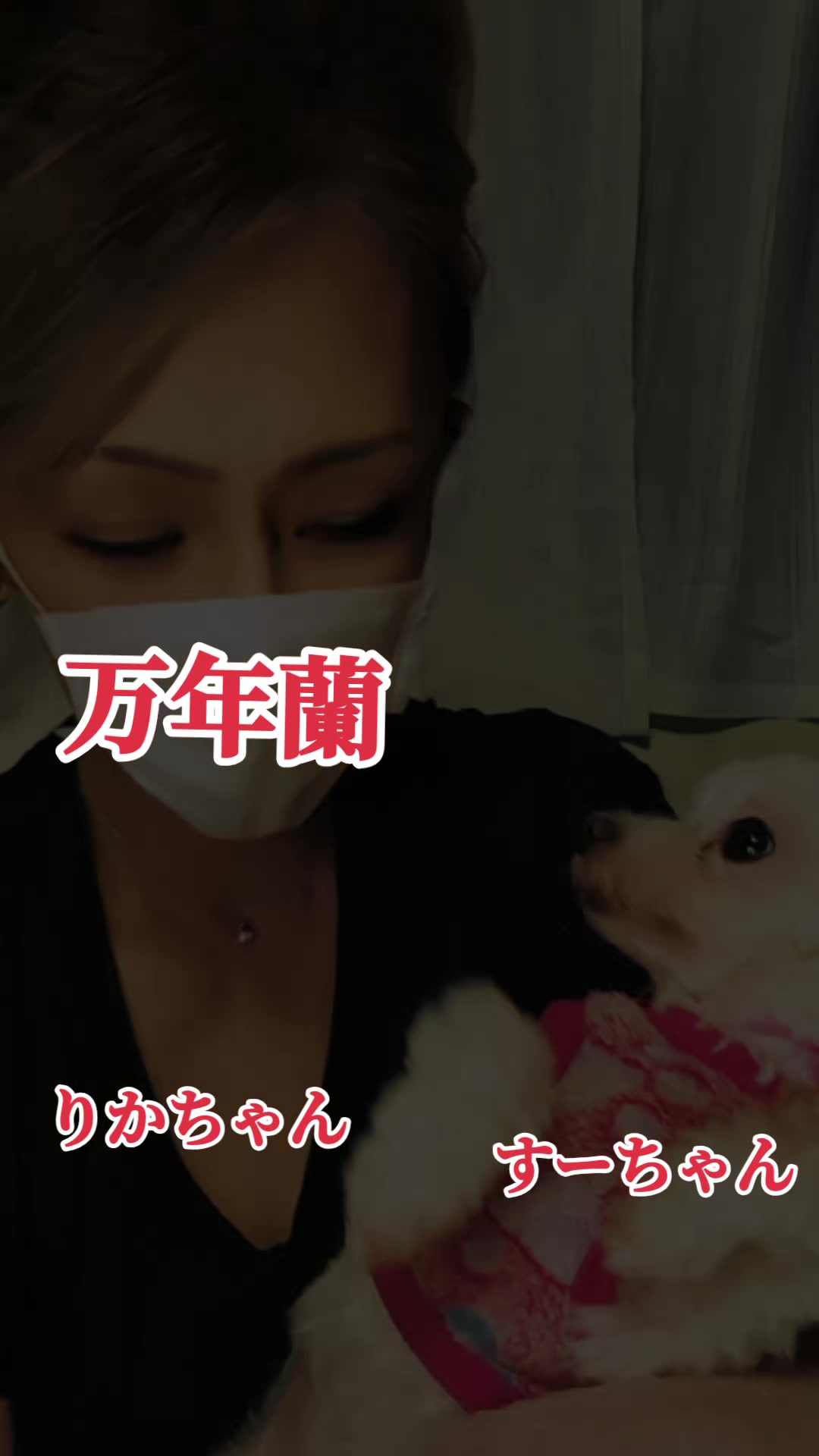 @万年　蘭