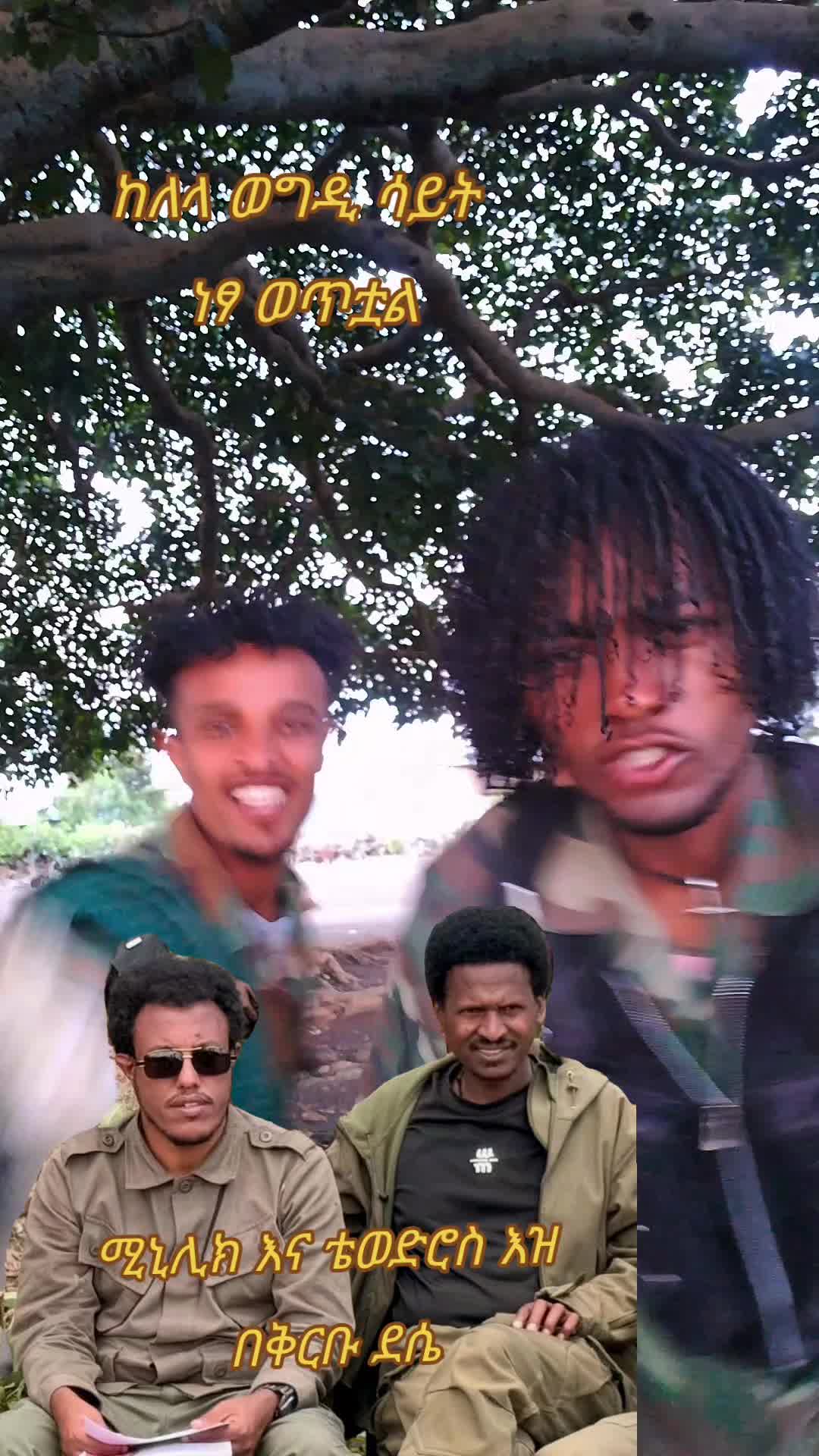 @እቢተኛው ሸማቂው የጎቸው
