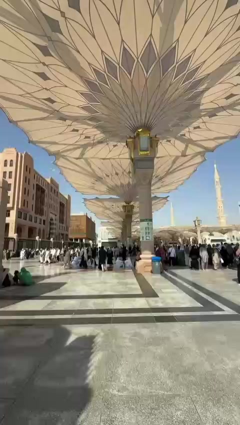 @Sahar Shaikh❤️