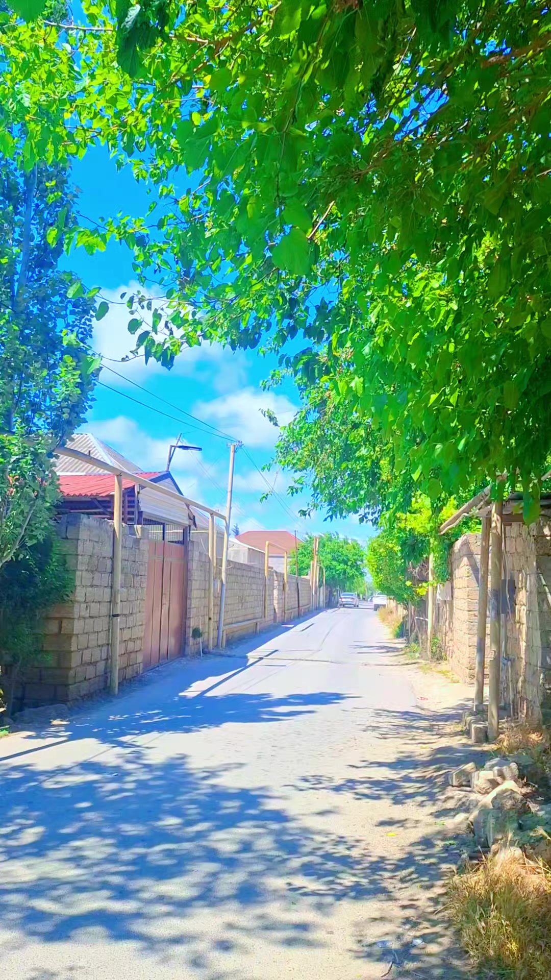 @✭🇦🇿🆀🅰🆁🆃🅰🅻 🇹🇷✭