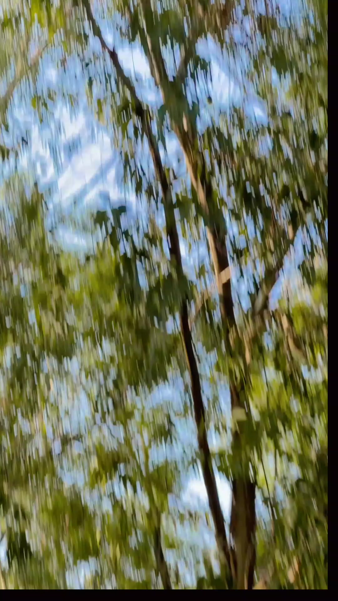 @B Í K Ã S H ツ