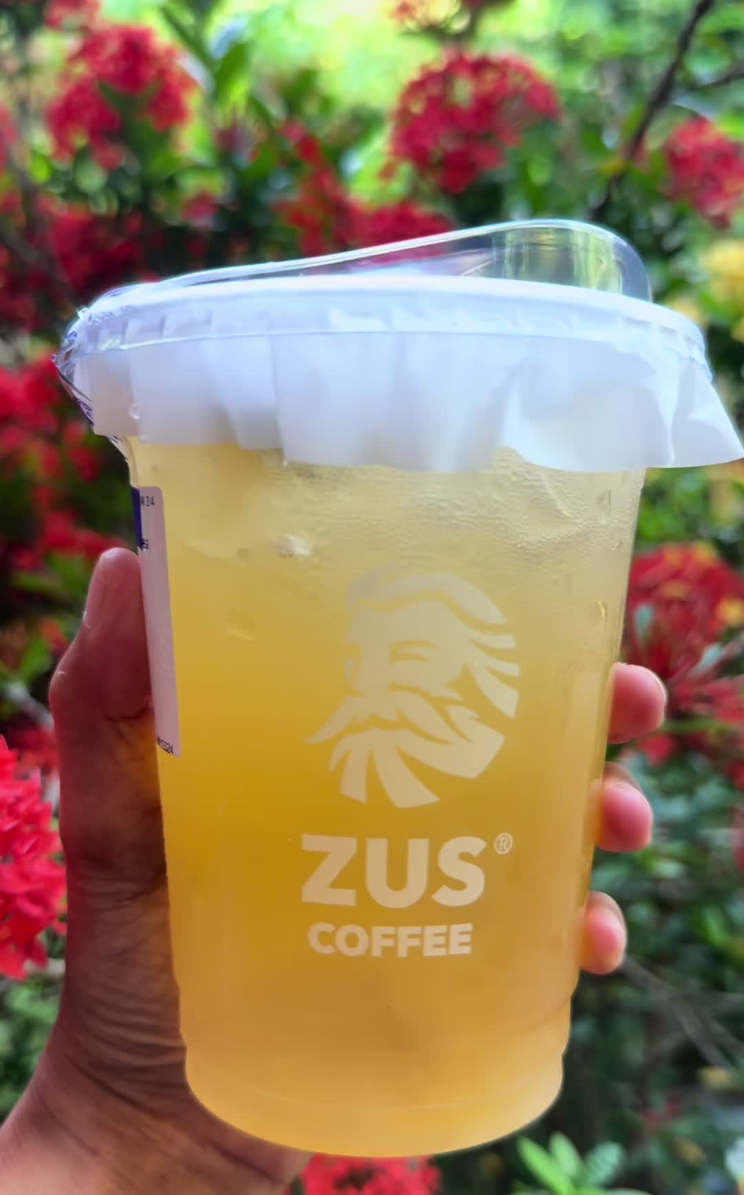 @nzmg