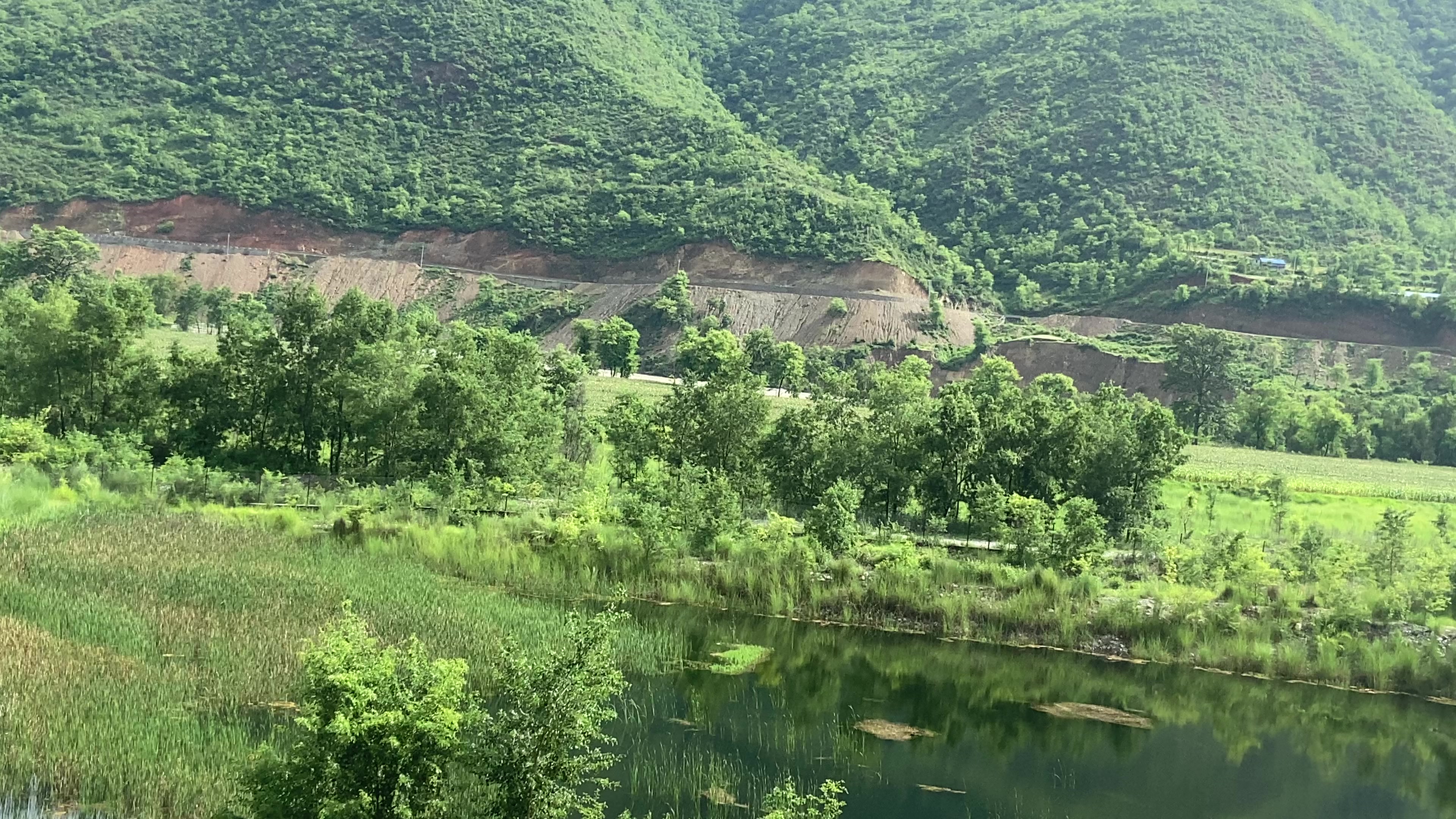 @Bhagawati 🇺🇸🇳🇵